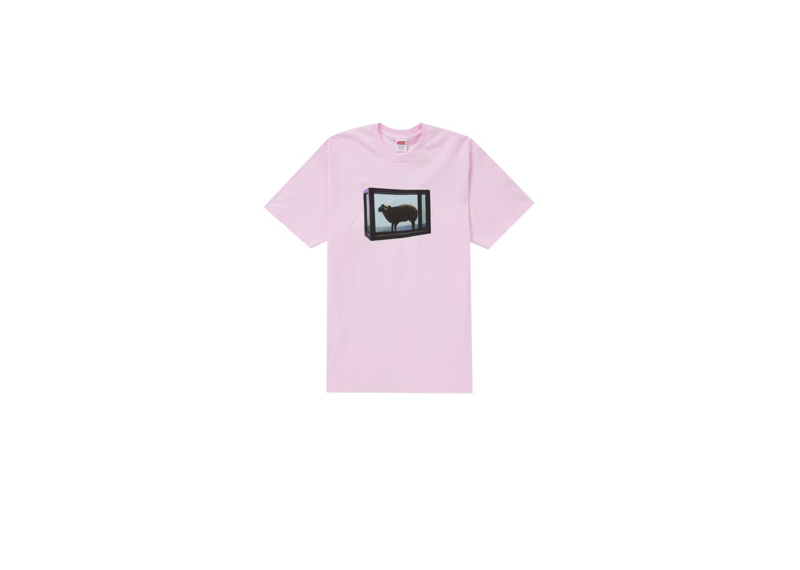 Supreme Damien hirst tee