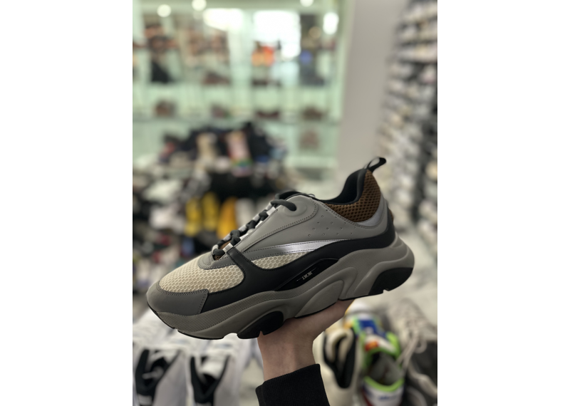 Dior b22 Brown Grey Black