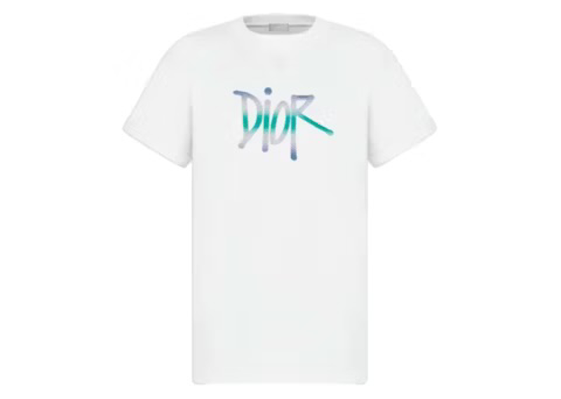 Dior x Shawn Oversized Logo Tee