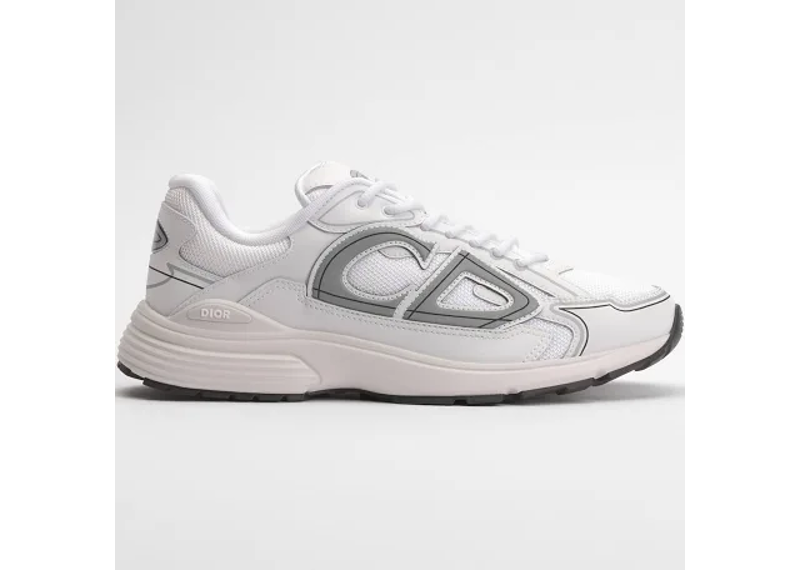 Dior B30 White grey