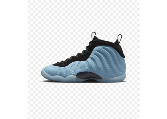Foamposite physic blue gs