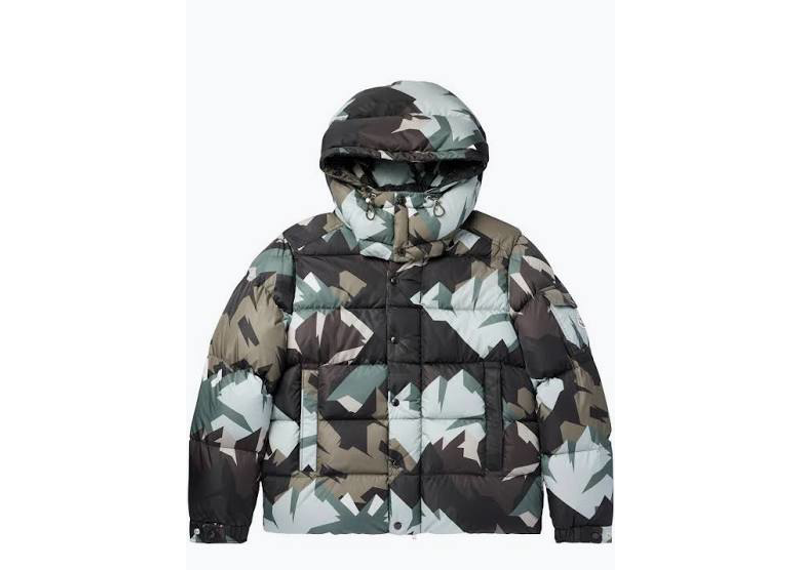 Moncler Mosa Quilted Printed Shell Hooded Down Jacket