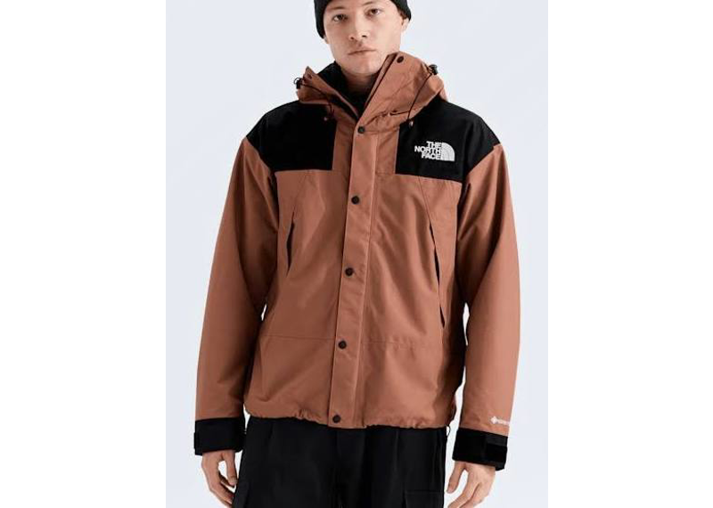 The North Face Gore-Tex Mountain Waterproof Jacket Copper Silt