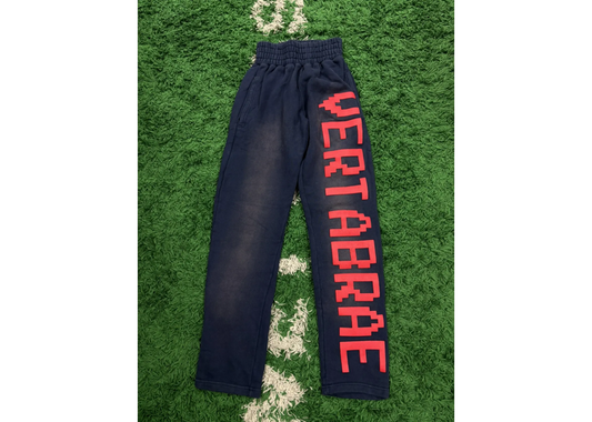VERTABRAE NAVY RED SWEATPANTS