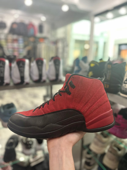 Air Jordan 12 Retro Reverse Flu Game