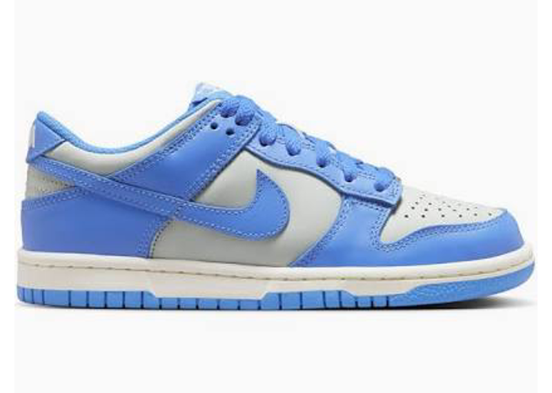 Nike dunk low photon sail blue